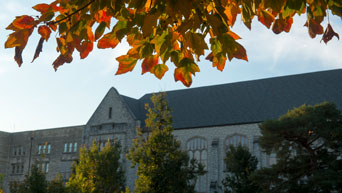 Fall colors at Hale Library 