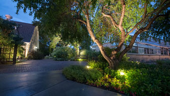 Lights at the Kansas State University Gardens