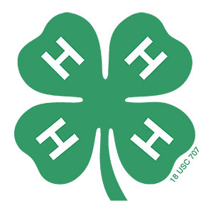 4-H Clover