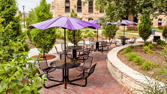 Purple umbrellas on campus 