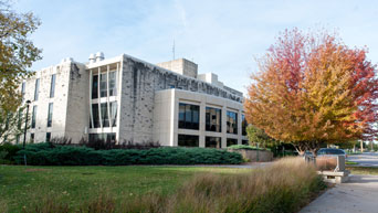 A tree begins to change on campus 