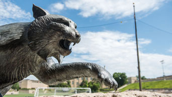 Seven-foot bronze Wildcat statue overlooking the Alumni Center's Johnson Terrace