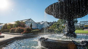 Kansas State University Gardens