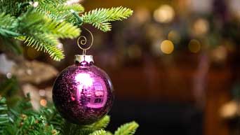 Purple ornament 