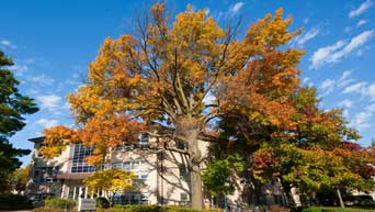 Eisenhower Hall