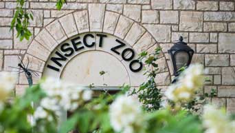 Insect Zoo