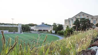 Memorial Stadium 