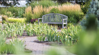 Bench and flowers at K-State Gardens