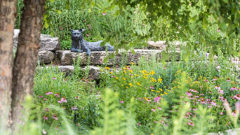 Kansas State University Gardens