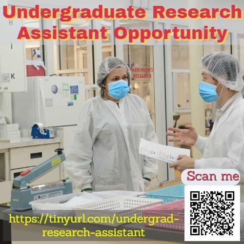 Undergraduate Research Assistant Opportunity