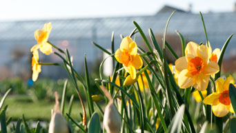 Kansas State University Gardens