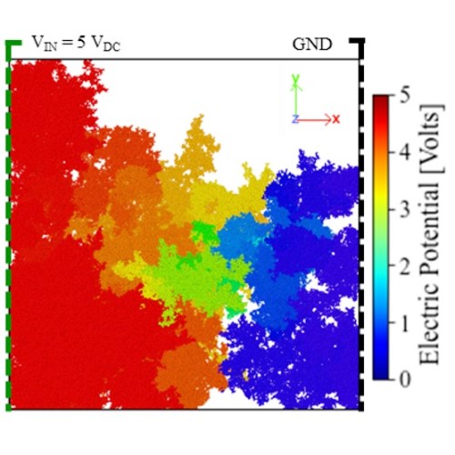 Numerical simulation of a nanocomposite