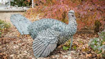 Turkey statue in Kansas State University Gardens 
