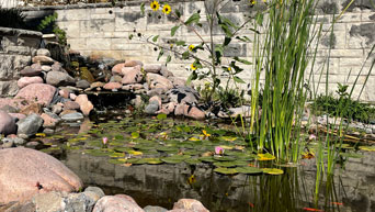 Backyard pond and patio at Chalmers Hall. 