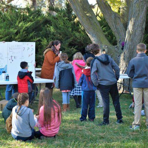 Kindergarten to high school students brought science projects to share.