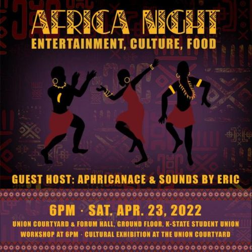 Africa Night event poster