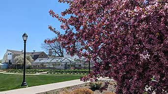 Spring blooms at The Gardens at Kansas State University. 