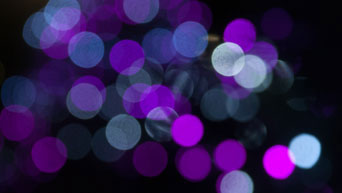 Purple lights