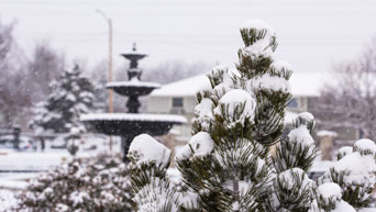 Kansas State University Gardens