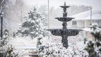 Gardens in winter