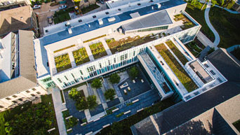 Green roof at Regnier Hall 