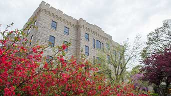 Blooms near Nichols Hall