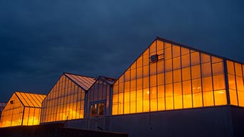 greenhouses