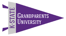 Picture of a purple flag with "Grandparents University" on it.