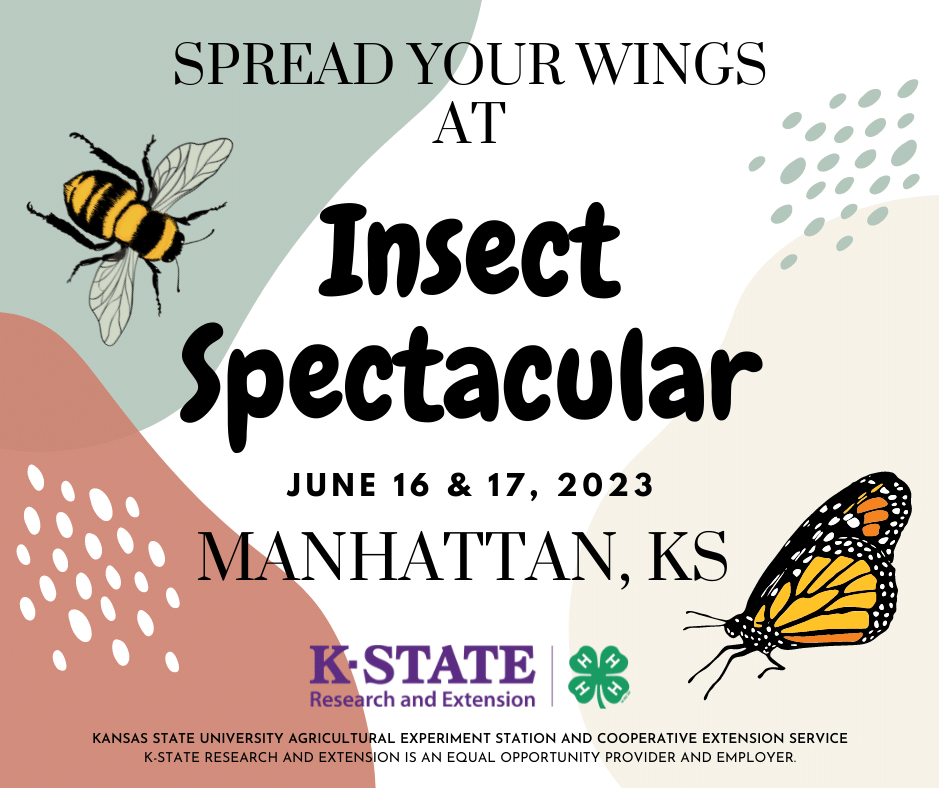 Insect Spectacular