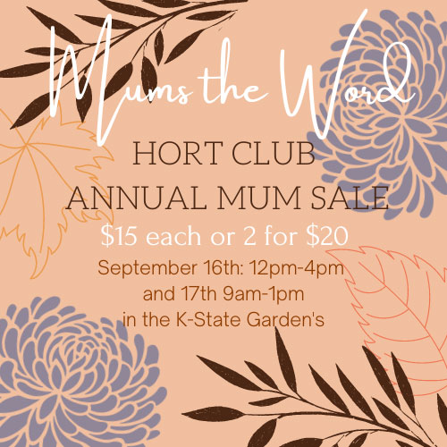 Mum Sale Poster