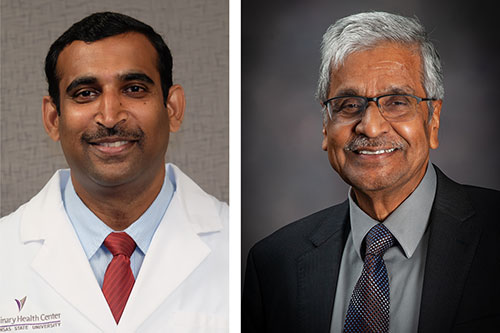 Drs. Raghavendra Amachawadi and T.G. Nagaraja