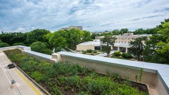 green roofs