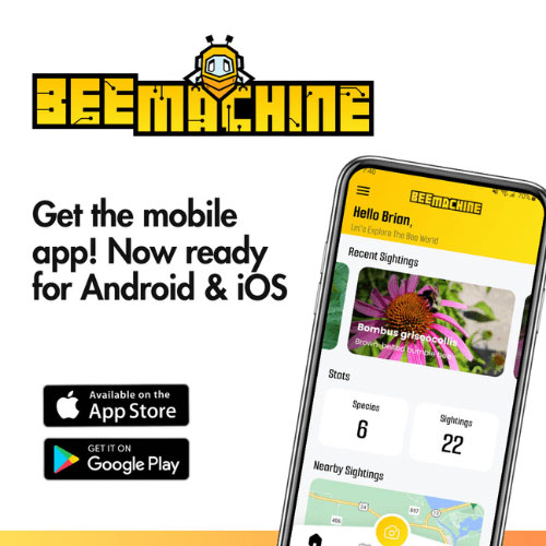 Download the BeeMachine app on Andriod or iOS app store.