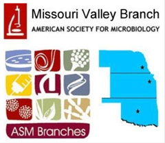 ASM branch logo