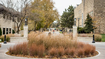 Campus in fall