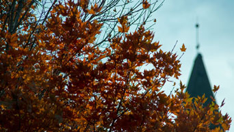 Anderson Hall in fall