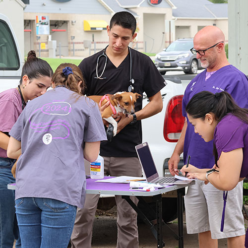 K-State Veterinary team provides services at Everybody Counts