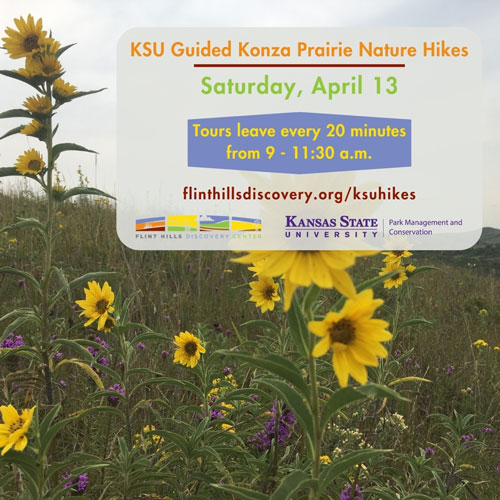 Interpretive Hikes on April 13th from 9am to 11:30am