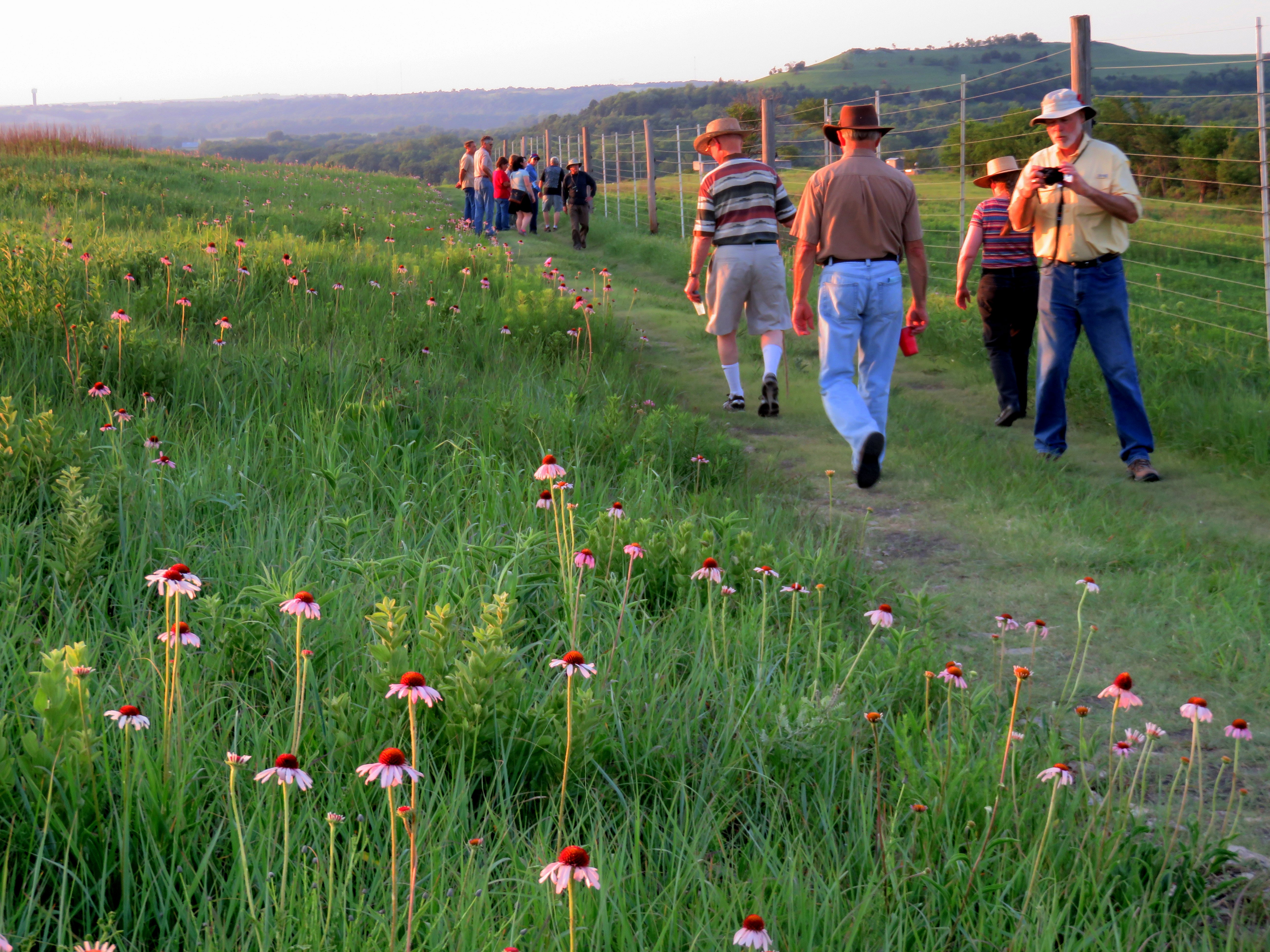 Wildflower Walkers 