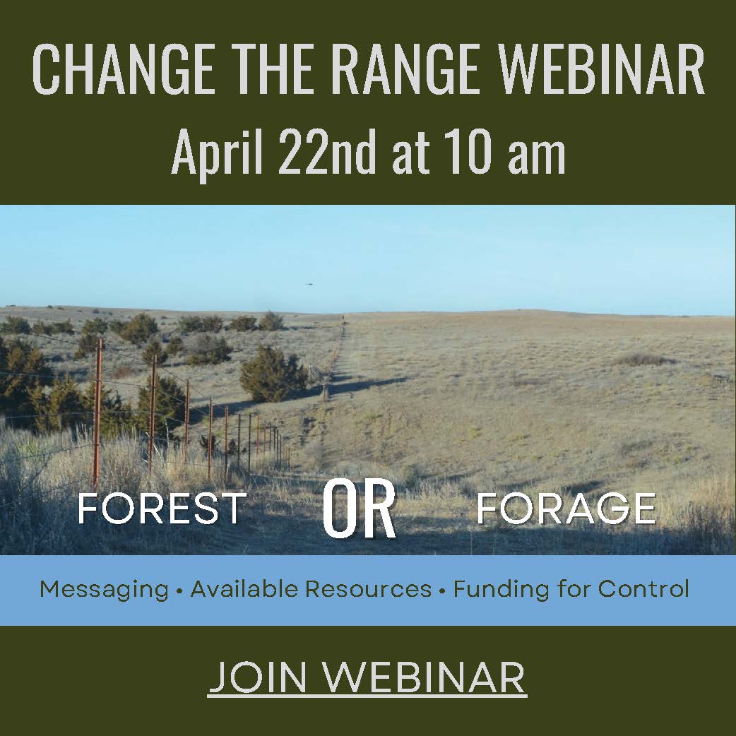 Woody encroachment and the problem it poses for landowners and ag producers is a priority rangeland topic. What is K-State Extension’s role in addressing the problem?