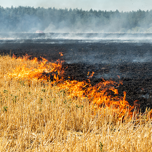 Controlled burn in a field
