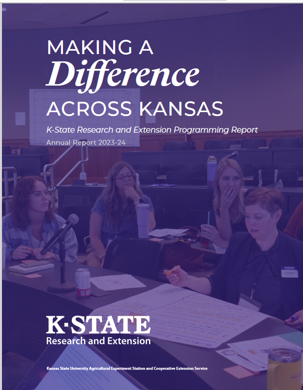 Image of the cover of the report