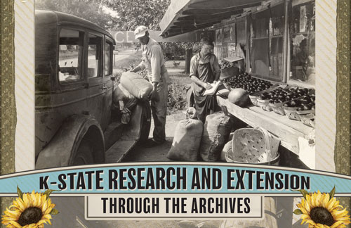 Preserving Progress: Research and Extension Through the Archives