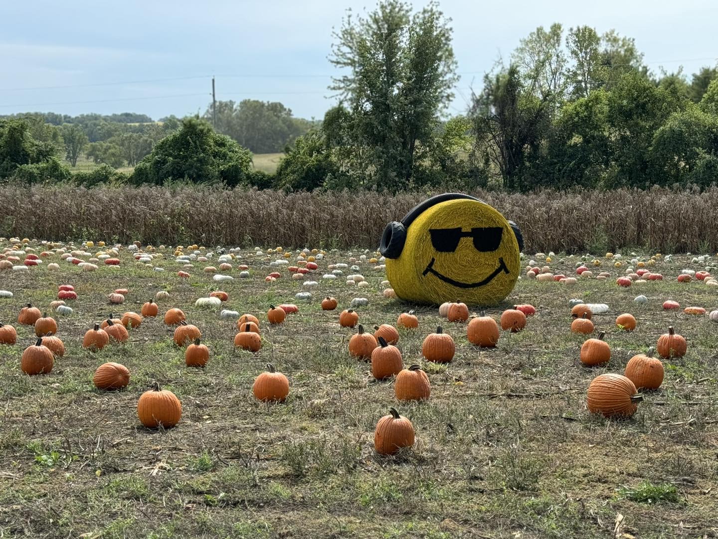 Kaw Valley Farm Tour  Northeast Kansas
