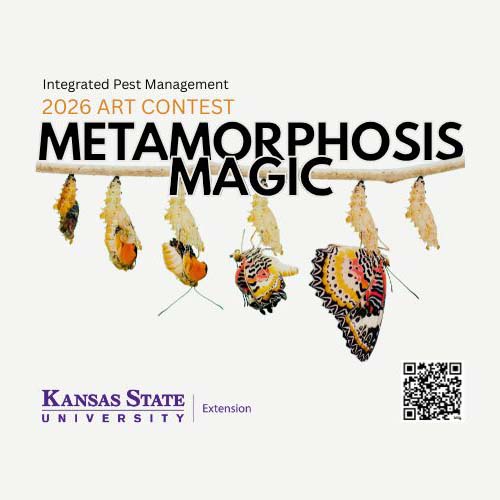 IPM Insect Art Contest