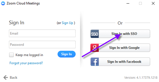 Click Sign In with SSO