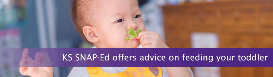 Kansas SNAP-Ed offers advice on feeding your toddler