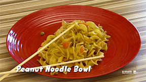 peanut-noodle-bowl-picture
