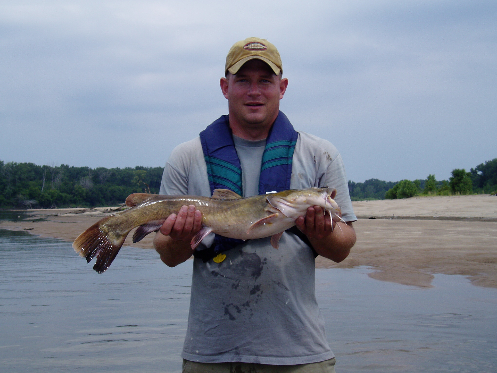 Flathead Catfish