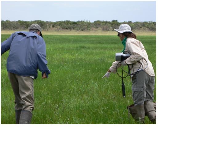 Researchers studying the Playa Wetlands